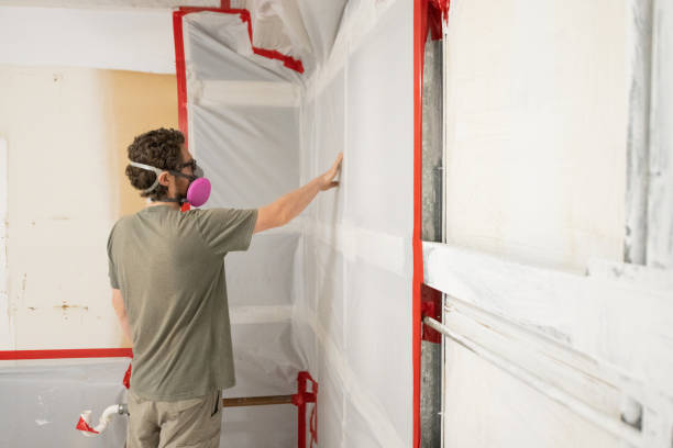 Best Attic Mold Removal  in Basking Ridge, NJ