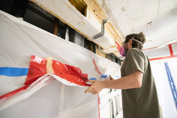 Professional Mold Removal in Basking Ridge, NJ