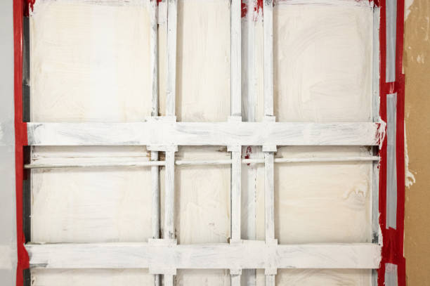 Best Post-Construction Mold Inspection  in Basking Ridge, NJ