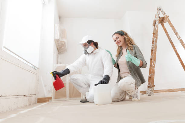 Best Mold Remediation for Rental Properties  in Basking Ridge, NJ