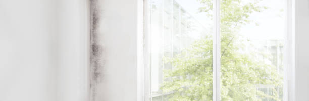 Best Post-Remediation Verification Testing  in Basking Ridge, NJ