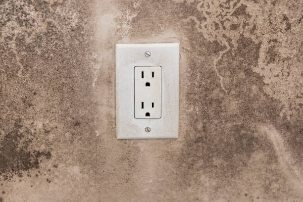 Best Emergency Mold Remediation  in Basking Ridge, NJ