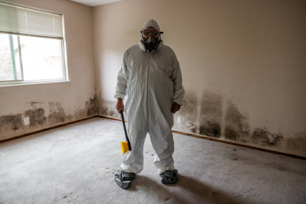 Best Mold Remediation for Vacation Homes  in Basking Ridge, NJ